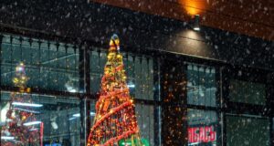 В Ярославской области объявили конкурс на лучшее новогоднее оформление зданий