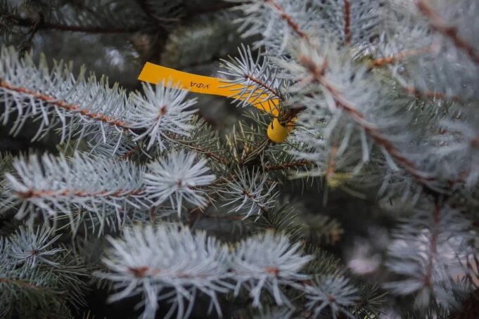 Парк на Суркова преобразился