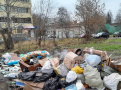 Мусорная стихия: как действовать, если ваш двор стал похож на свалку