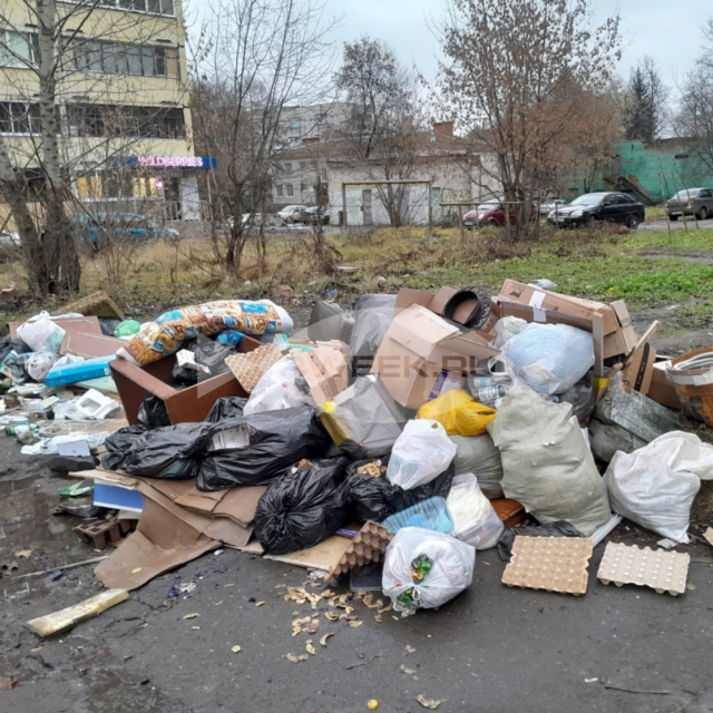 Мусорная стихия: как действовать, если ваш двор стал похож на свалку