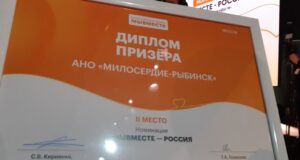 Добровольческий проект из Рыбинска занял второе место в финале Международной премии «МЫВМЕСТЕ»