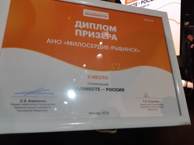 Добровольческий проект из Рыбинска занял второе место в финале Международной премии «МЫВМЕСТЕ»