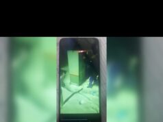 Жители Рыбинска осуждены за диверсию