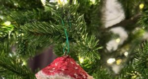 Моя елка — это связь поколений