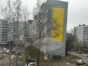 В Рыбинске будут бороться с крысами