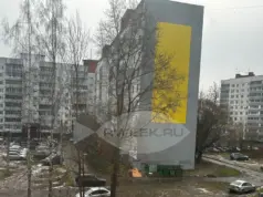 В Рыбинске будут бороться с крысами