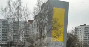 В Рыбинске будут бороться с крысами