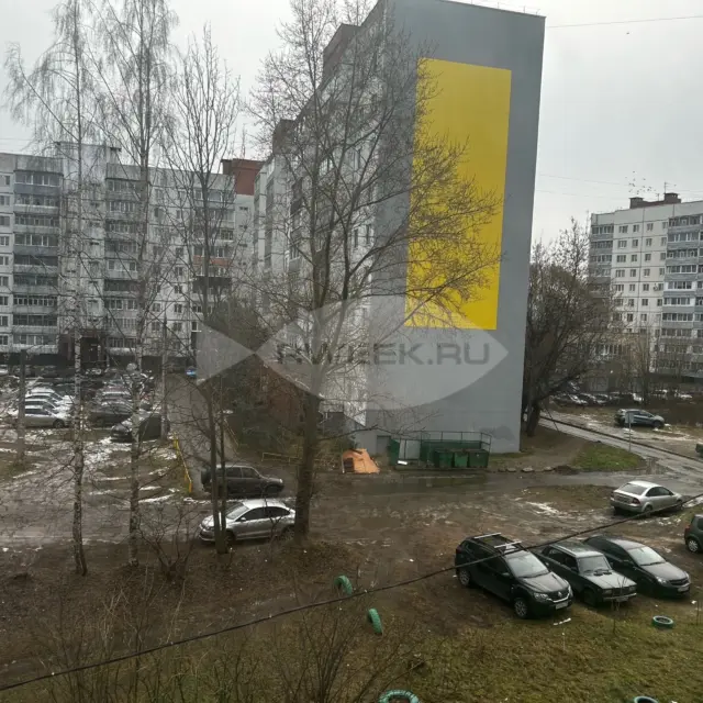 В Рыбинске будут бороться с крысами