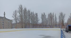 В Рыбинском районе проверили, как идут работы по оборудованию нового катка в Каменниках