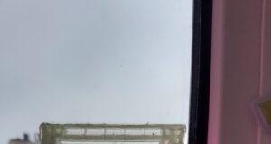 В Москве установлен новый температурный рекорд