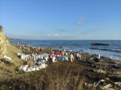 В Ярославской области ищут волонтеров для поездки в Краснодарский край