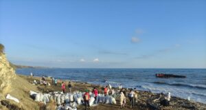 В Ярославской области ищут волонтеров для поездки в Краснодарский край