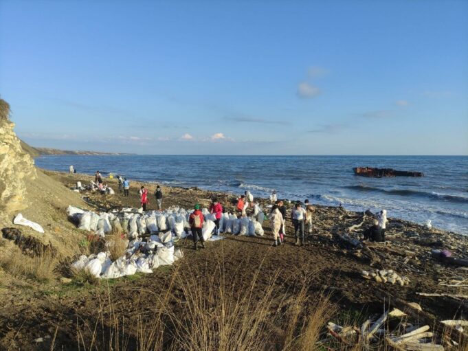 В Ярославской области ищут волонтеров для поездки в Краснодарский край