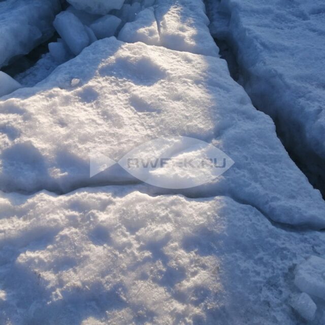 Жителям Рыбинска и Рыбинского района напоминают о запрете выхода на лед