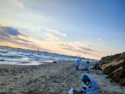 Волонтеры из Рыбинска отправились на берега Черного моря убирать мазут