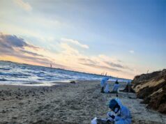 Волонтеры из Рыбинска отправились на берега Черного моря убирать мазут