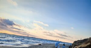 Волонтеры из Рыбинска отправились на берега Черного моря убирать мазут