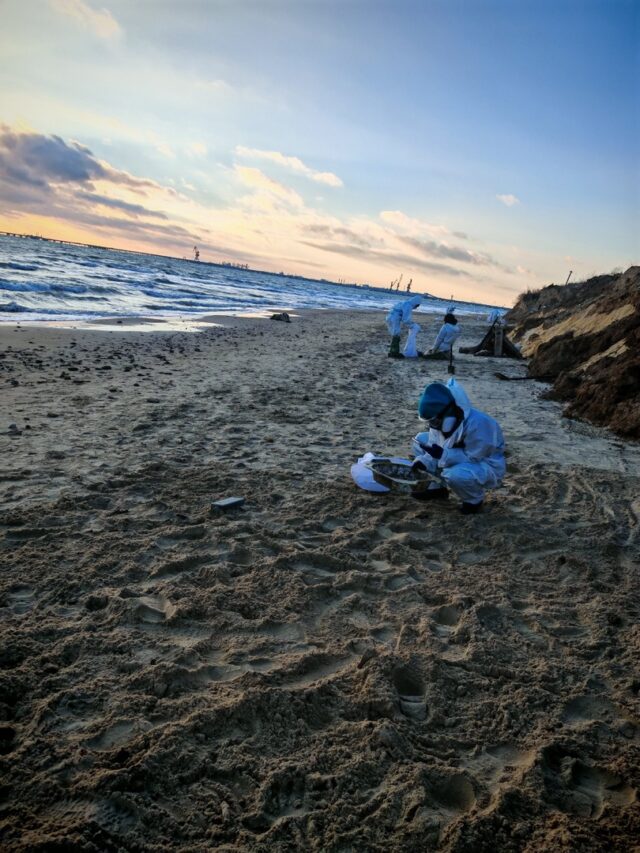 Волонтеры из Рыбинска отправились на берега Черного моря убирать мазут