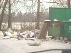 Свалки, объявления, ненадлежащая уборка: куда обращаться в Рыбинске и районе