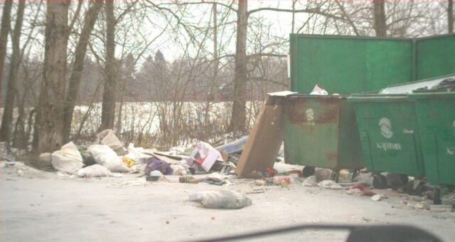 Свалки, объявления, ненадлежащая уборка: куда обращаться в Рыбинске и районе