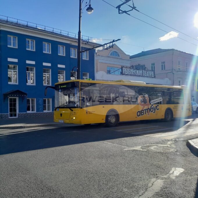 Из Рыбинска до «Демино» пустят бесплатный автобус