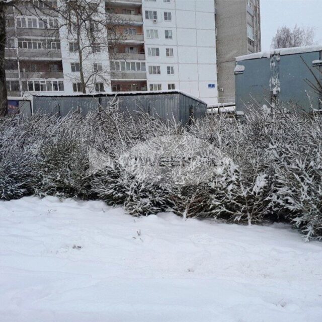 Ярославский зоопарк принимает в дар елки