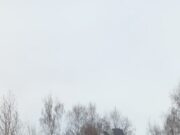 Указатели с медведями, появившиеся в Рыбинске, придется переделать