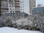 По Рыбинску проедет «Елкомобиль»