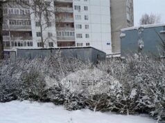 По Рыбинску проедет «Елкомобиль»