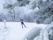 Деминские трассы пытаются спасти для марафона