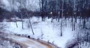 Жители Рыбинска бьют тревогу из-за загрязнения реки Коровка