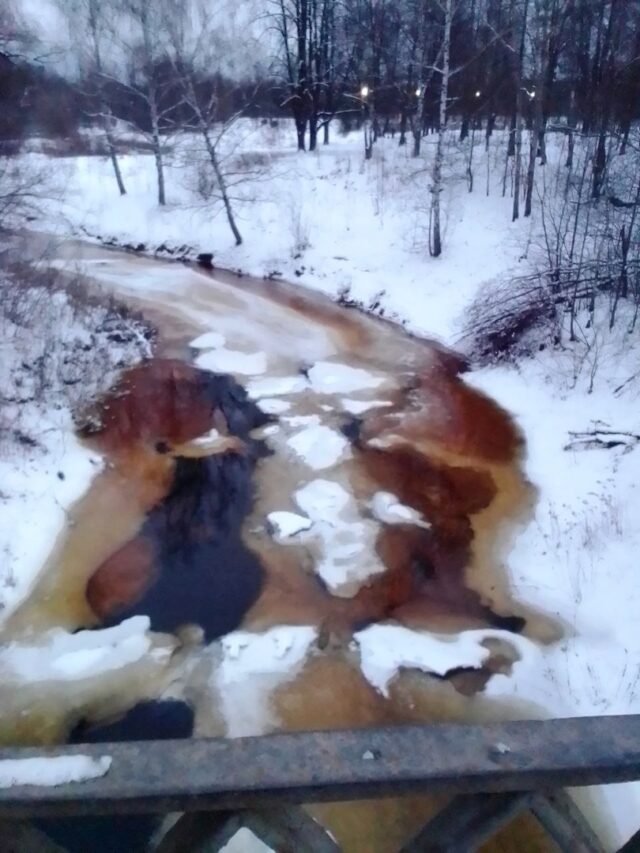 Жители Рыбинска бьют тревогу из-за загрязнения реки Коровка