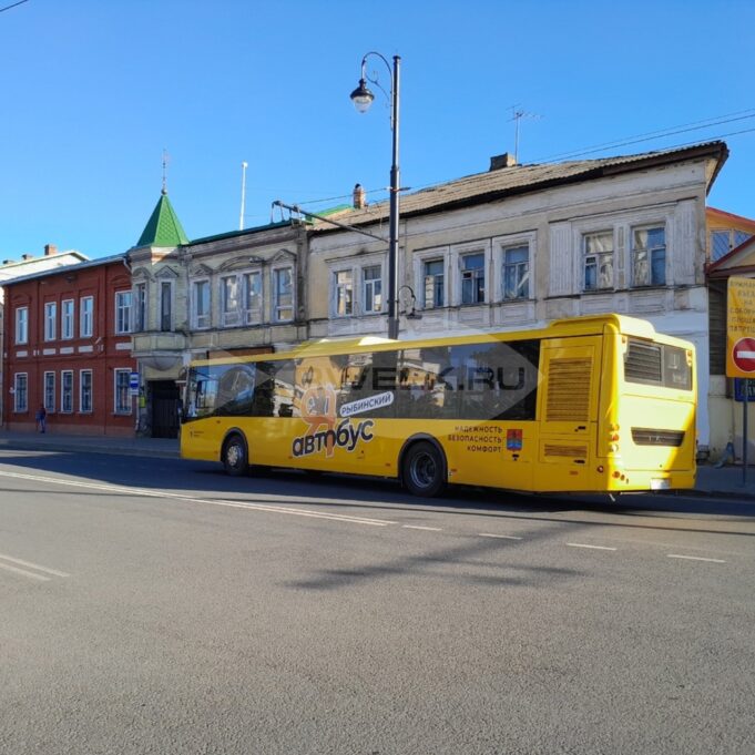 На Деминский лыжный марафон организуют специальные автобусные рейсы из Ярославля и Рыбинска