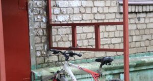 В Рыбинске на пожаре сгорел велосипед