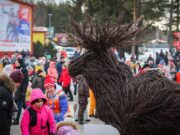 Вход на массовые соревнования в Ярославской области теперь свободный