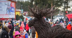 Вход на массовые соревнования в Ярославской области теперь свободный