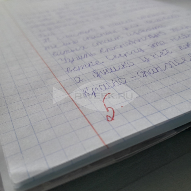 Рыбинские школьники зарабатывают пятерки к 80-летию Победы