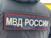 Под Рыбинском браконьер застрелил лосиху