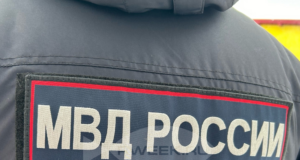 Под Рыбинском браконьер застрелил лосиху