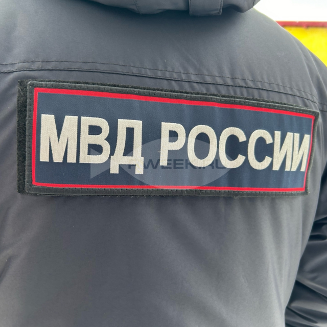 Под Рыбинском браконьер застрелил лосиху