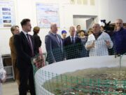 В Пошехонье начал работу учебно-производственный комплекс по выращиванию рыб различных пород