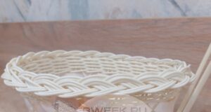 В Орловской области школьницы будут получать по 100 тысяч рублей за беременность и роды