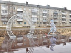 В поселке Каменники планируют организовать летний кинотеатр