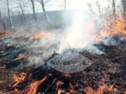 С сегодняшнего дня в Ярославской области объявлен пожароопасный период