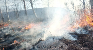 С сегодняшнего дня в Ярославской области объявлен пожароопасный период