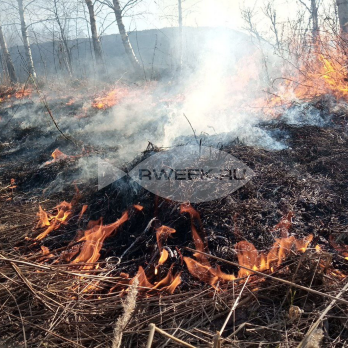 С сегодняшнего дня в Ярославской области объявлен пожароопасный период