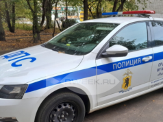 До конца месяца во всех регионах России будут проходить рейды по проверке чистоты автомобильных номеров