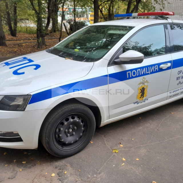 До конца месяца во всех регионах России будут проходить рейды по проверке чистоты автомобильных номеров