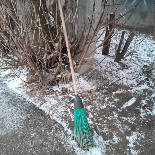 Рыбинцы выходят на субботники