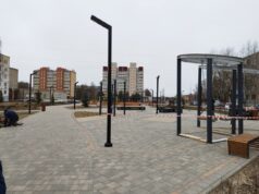 В сквере на Суркова появится 15-метровая рыба из дерева